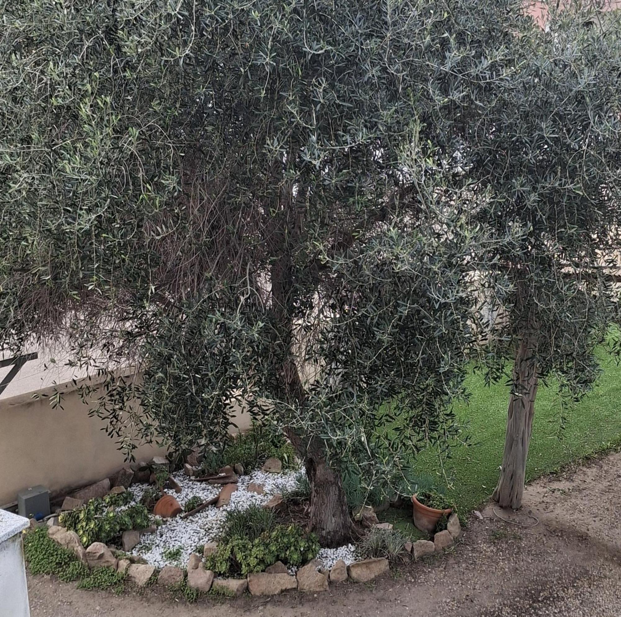 Valle Apartment